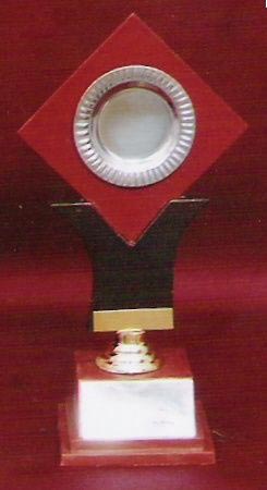 Acrylic Trophy (S-296)