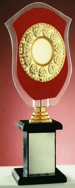 Acrylic Trophy (S-469)