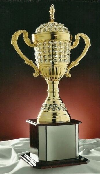 Diamond Cup Trophy (CI-1138)