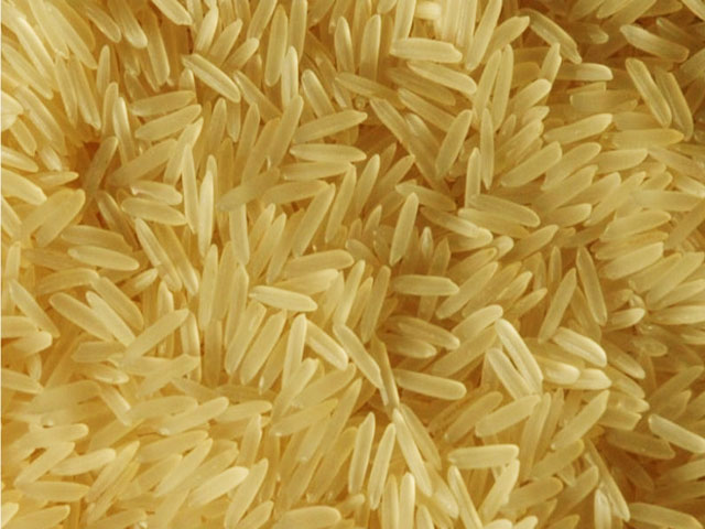 1121 Golden Rice