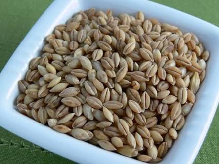 Hulled Barley Seeds