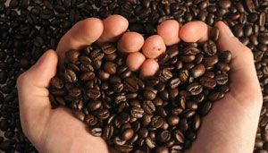 Coffee Beans 02