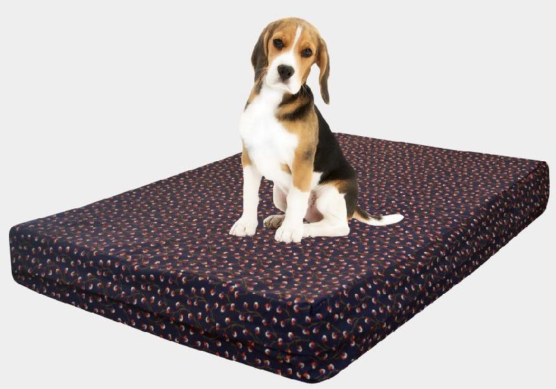 Dog Bed 02