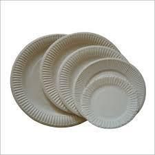 Disposable Paper Plate