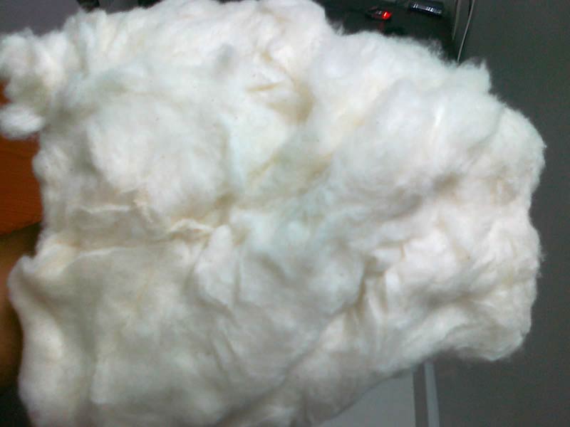 Cotton Comber Noil  Waste