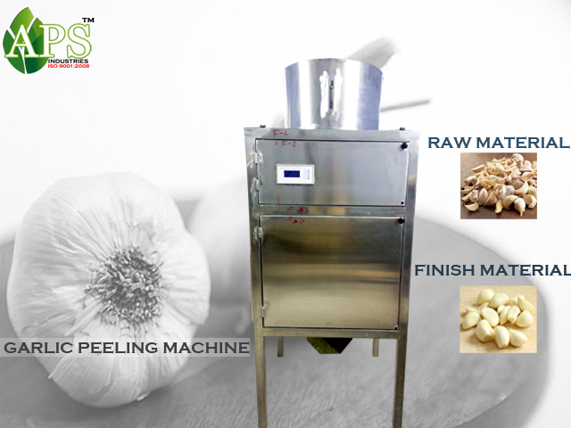 Dry Garlic Peeling Machine