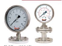 Flanged End Diaphragm Sealed Pressure Gauges