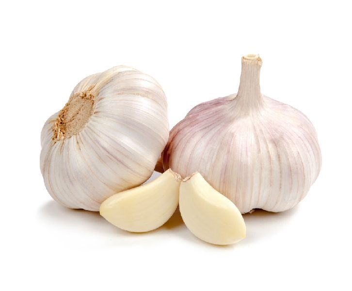 Garlic 02