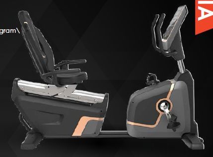 Gloria Recumbent Bike