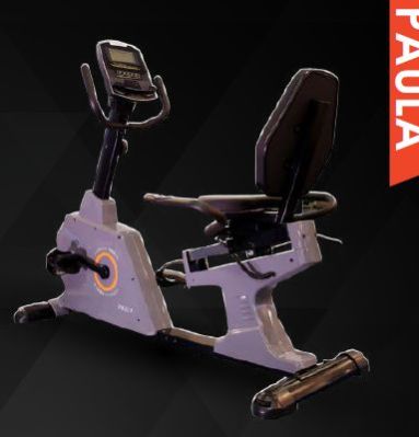 Paula Recumbent Bike