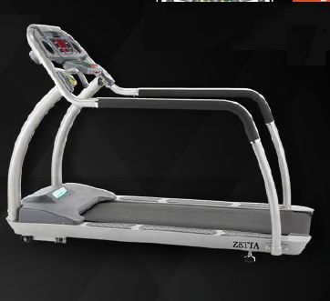 Zeeta Commercial Motorized Treadmill