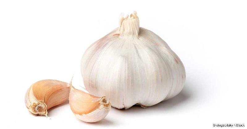 Fresh Garlic 02