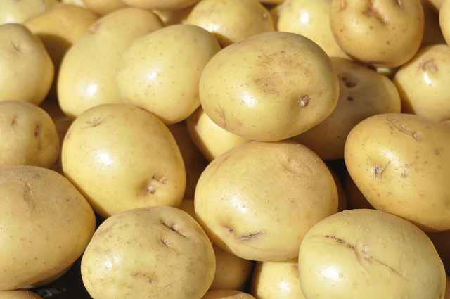 Fresh Potato 01
