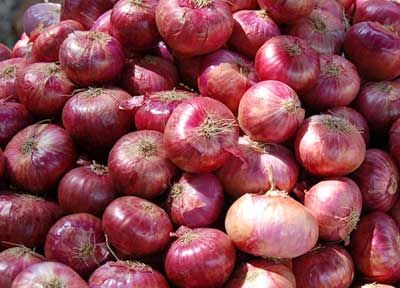 Fresh Red Onion 01