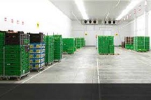 Multi Commodity Cold Room Storage Services