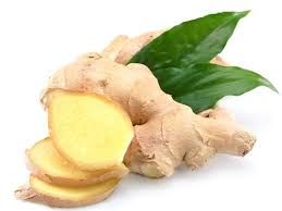 Fresh Ginger 01