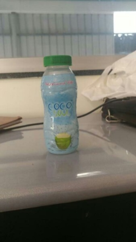 Packaged Drinking Coconut Water 02