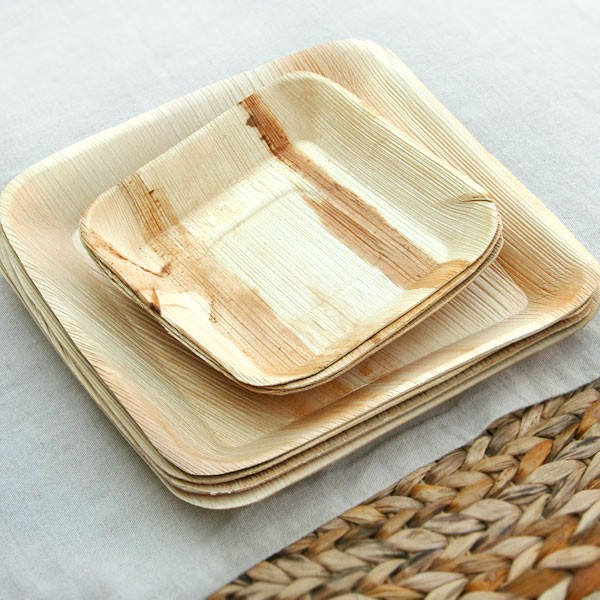 Palm Leaf Plates 01