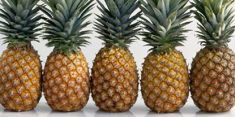 Fresh Pineapple 03