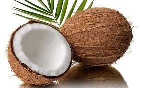 Fresh Coconut 01