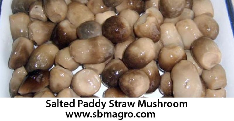 Salted Straw Mushroom