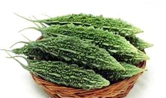 Bitter Gourd 02