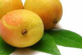 Kesar Mango 02