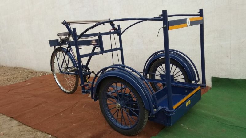 Ice Cream Tricycle 12