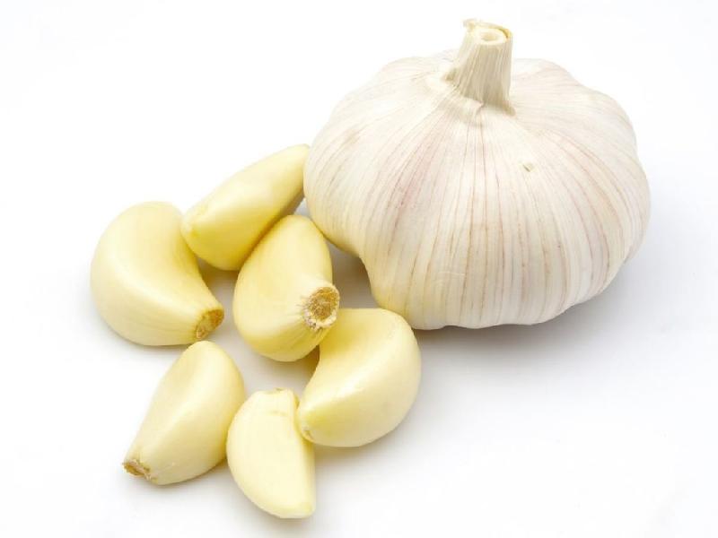 Fresh Garlic 01