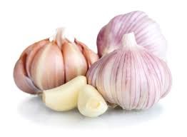 Fresh Garlic 02