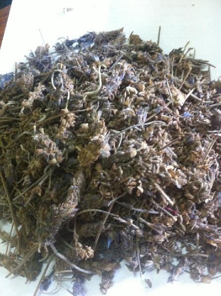 Dried Lavender Flowers