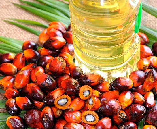 Palm Oil and Olein