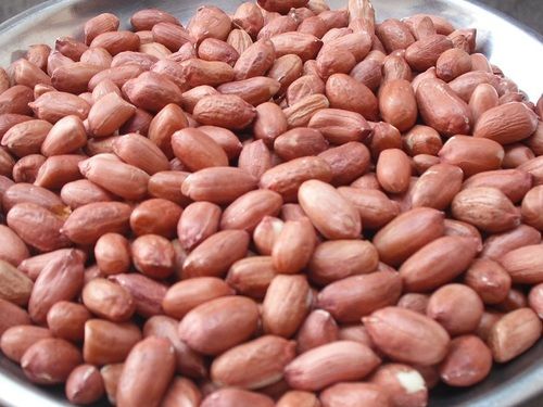 Bold Peanut Kernels 02