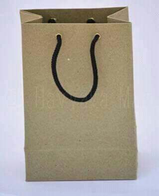 Paper Bag 09