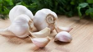 Fresh Garlic 01