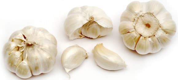 Fresh Garlic 02