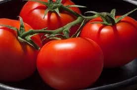 Fresh Tomato 01