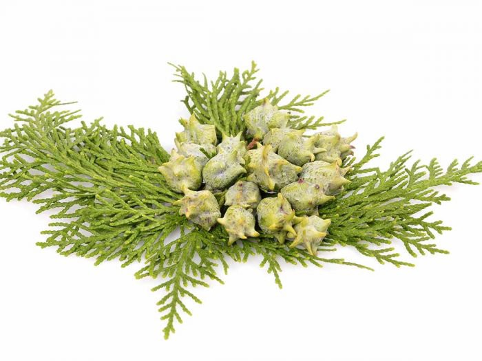 Cypress Oil