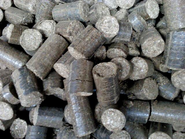 Biomass Briquettes 04