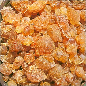 Gum Arabic