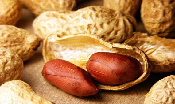 Shelled Groundnuts 03