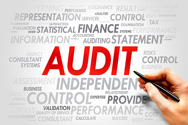 Auditing Services 02