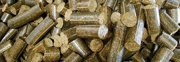 Biomass Briquettes 03