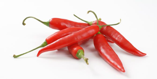 Fresh Red Chilli 02