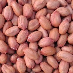 Groundnut Kernels 01