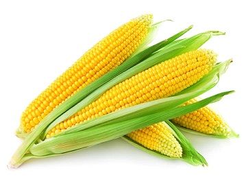 Maize 01