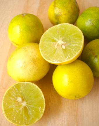 Pakistani Lemon