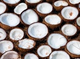 Fresh Coconut 03