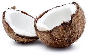 Fresh Coconut 04