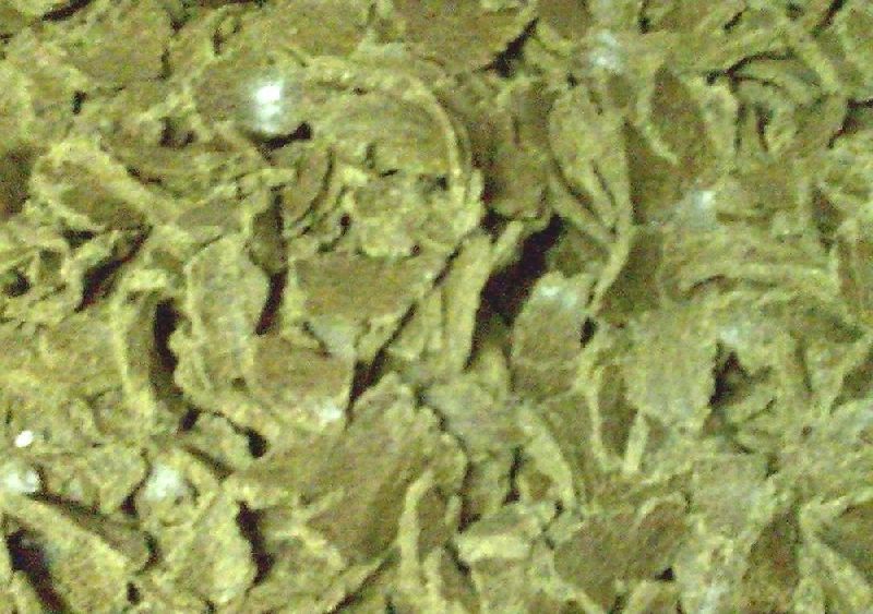 Cotton Seed Oil Cake 03